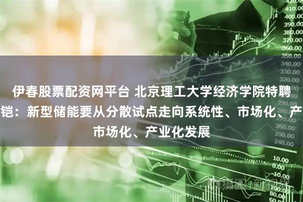 伊春股票配资网平台 北京理工大学经济学院特聘教授李金铠:新型储能要从分散试点走向系统性、市场化、产业化发展